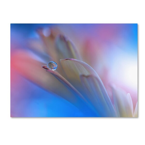 Juliana Nan 'Touch Me Softly' Canvas Art, 14x19, Trademark Fine Art, Mfr#: 1X01303-C1419GG